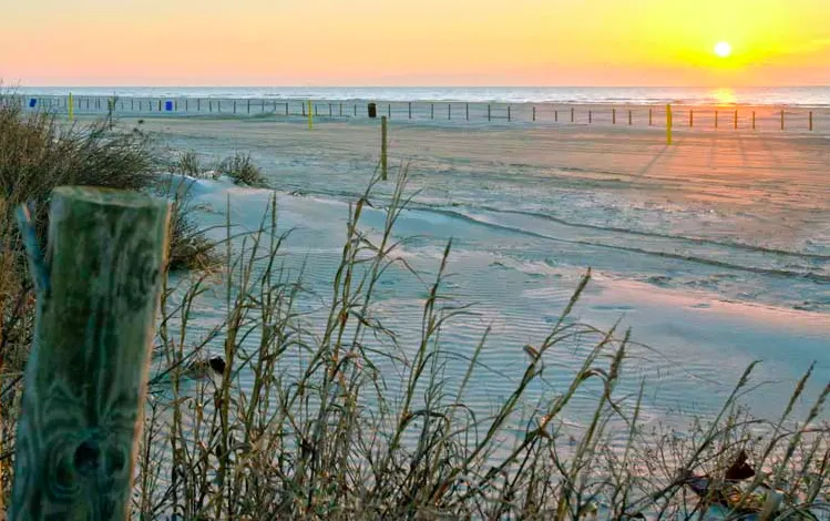 Galveston beach