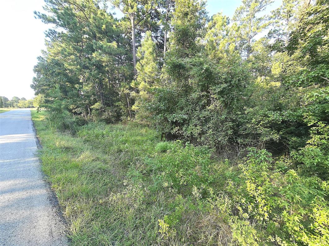 10066801 TBD Oakwood Drive